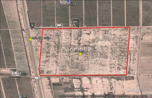 Finca en Venta en Lujan de Cuyo, Mendoza