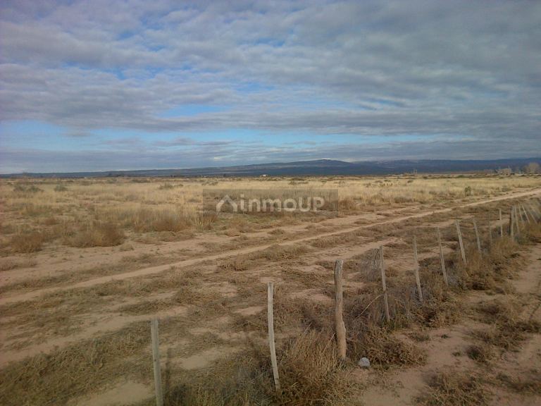 Finca en Venta en Lujan de Cuyo, Mendoza
