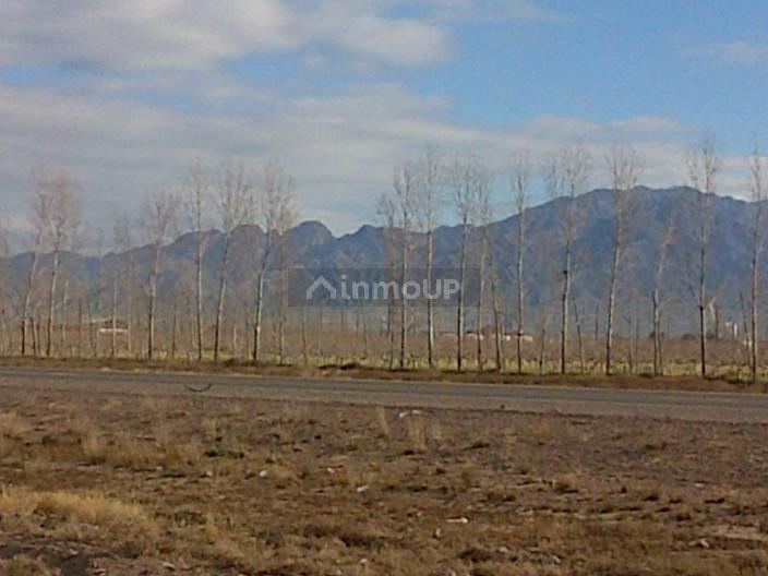 Finca en Venta en Lujan de Cuyo, Mendoza