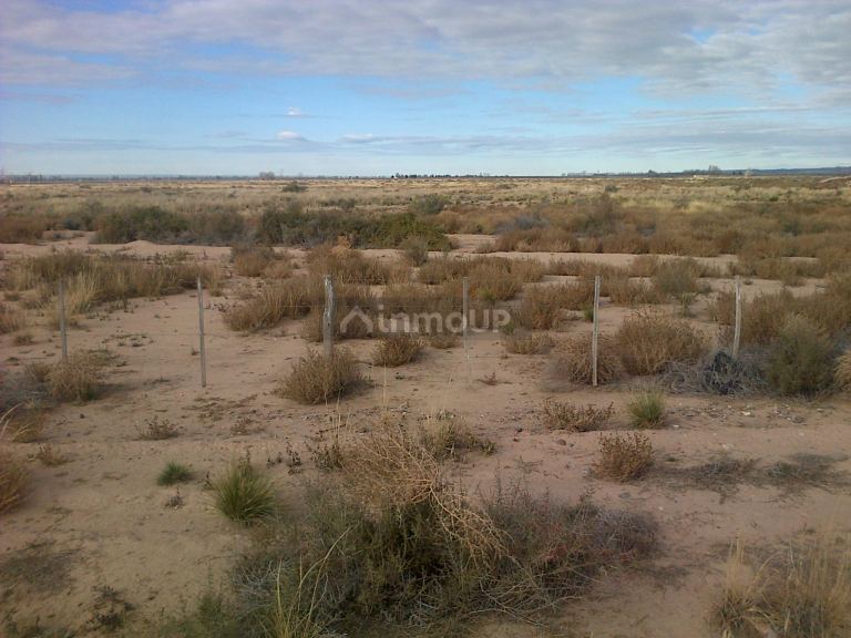 Finca en Venta en Lujan de Cuyo, Mendoza