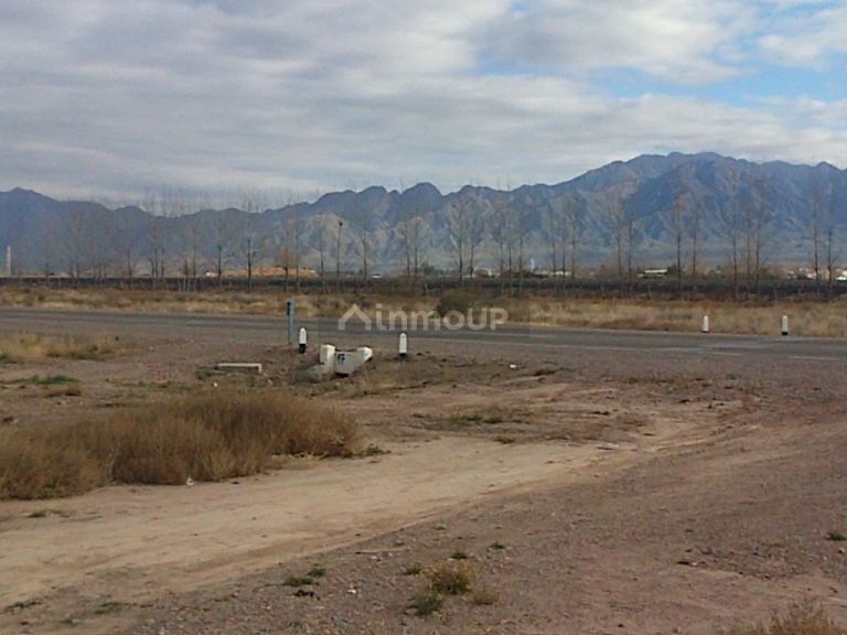 Finca en Venta en Lujan de Cuyo, Mendoza