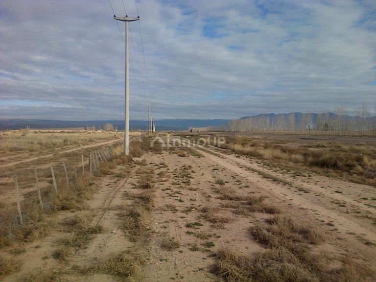 Finca en Venta en Lujan de Cuyo, Mendoza