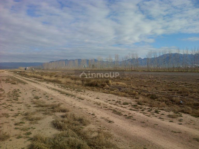 Finca en Venta en Lujan de Cuyo, Mendoza