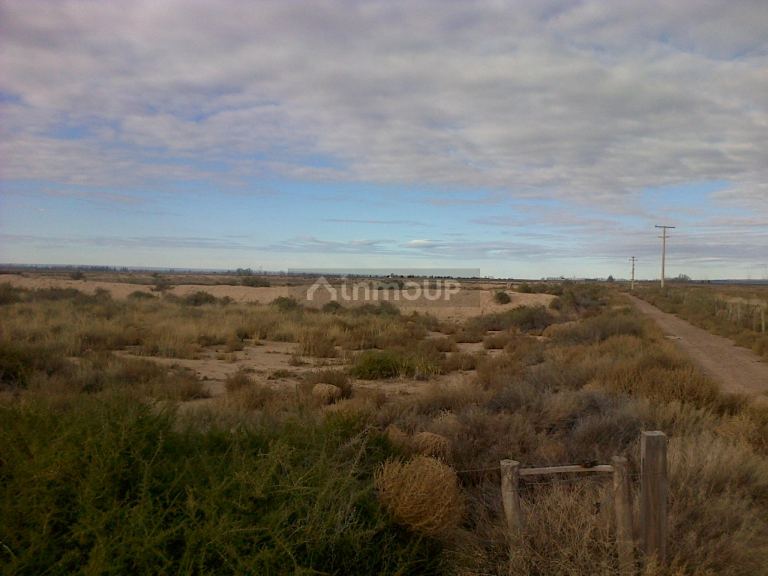 Finca en Venta en Lujan de Cuyo, Mendoza