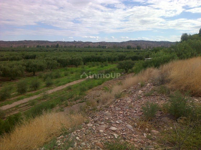 Finca en Venta en Maipu, Mendoza