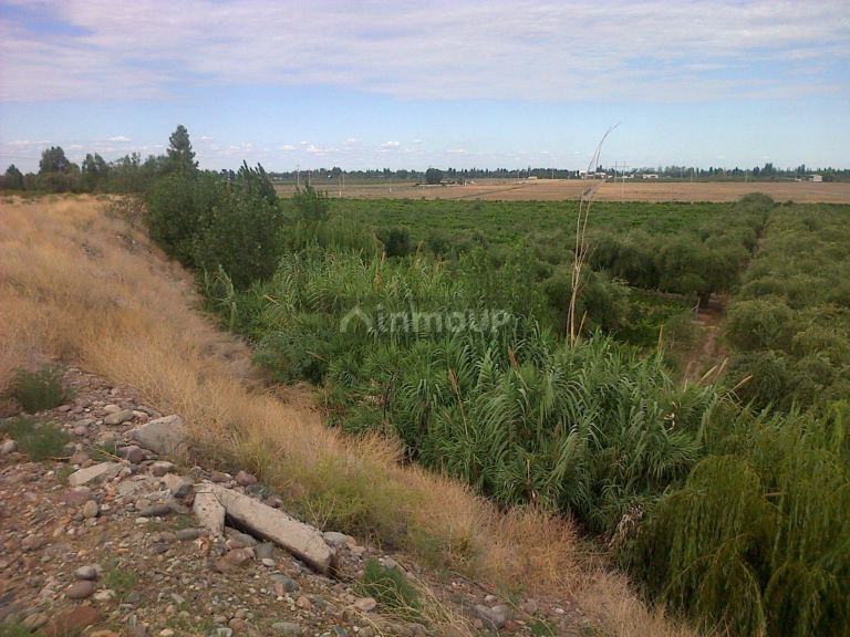 Finca en Venta en Maipu, Mendoza