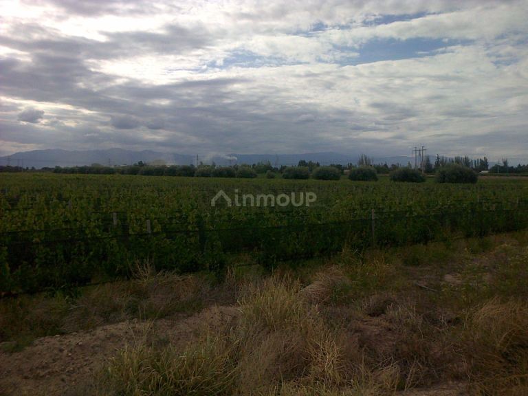 Finca en Venta en Maipu, Mendoza