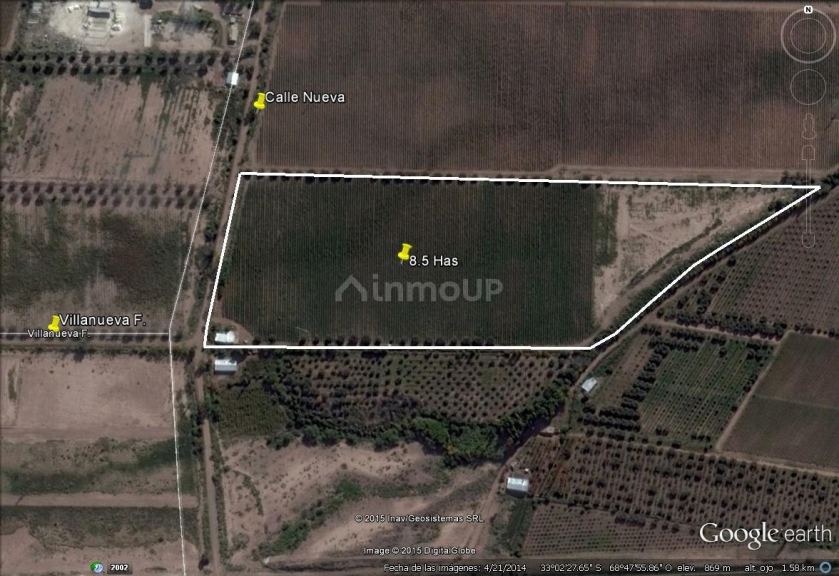 Finca en Venta en Maipu, Mendoza
