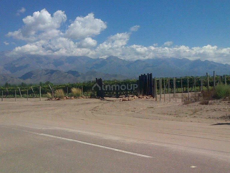 Finca en Venta en San Carlos, Mendoza