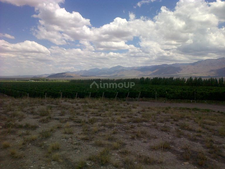 Finca en Venta en San Carlos, Mendoza
