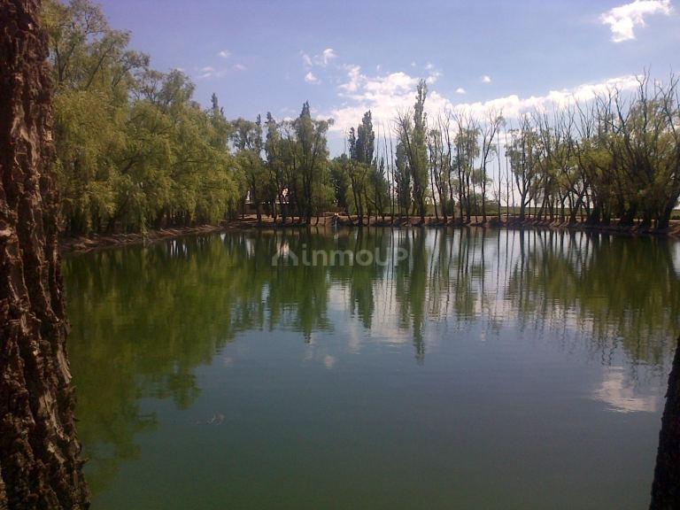 Finca en Venta en San Carlos, Mendoza