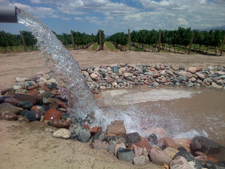 Finca en Venta en San Carlos, Mendoza