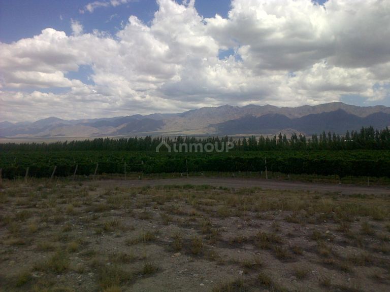 Finca en Venta en San Carlos, Mendoza