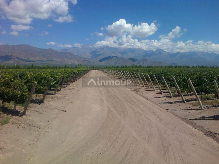 Finca en Venta en San Carlos, Mendoza