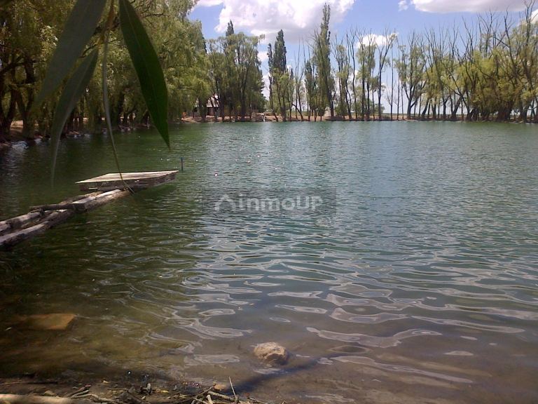 Finca en Venta en San Carlos, Mendoza