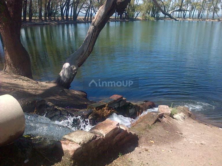 Finca en Venta en San Carlos, Mendoza