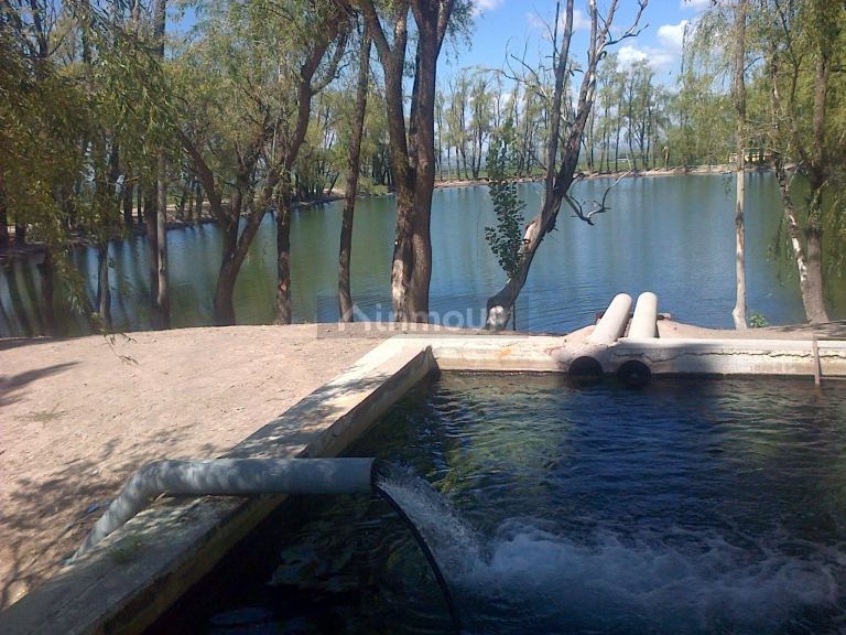 Finca en Venta en San Carlos, Mendoza