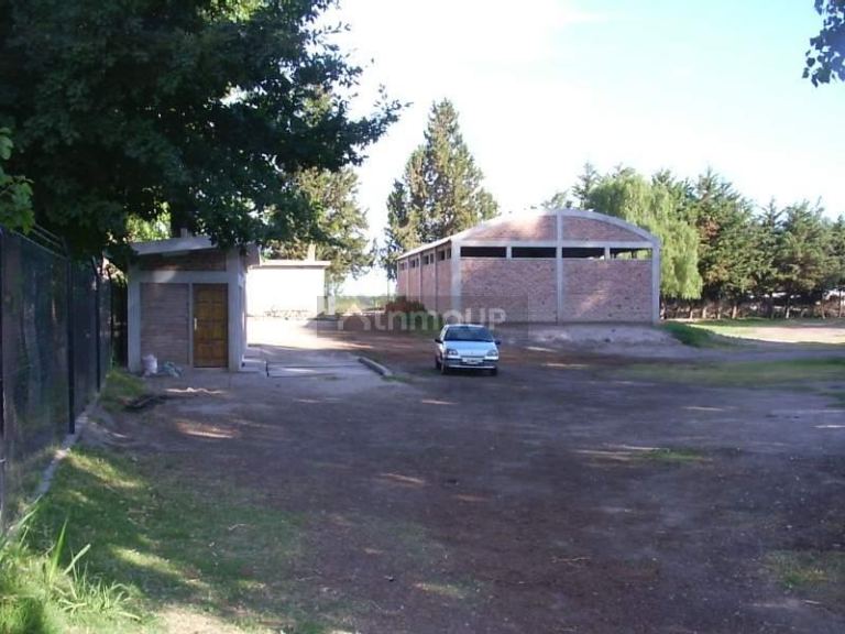 Bodega en Venta en San Martin, Mendoza