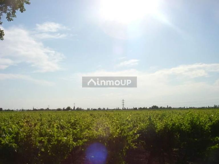 Bodega en Venta en San Martin, Mendoza