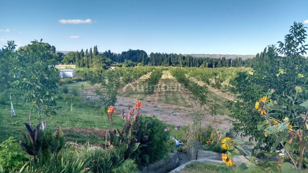 Finca en Venta en Tupungato, Mendoza