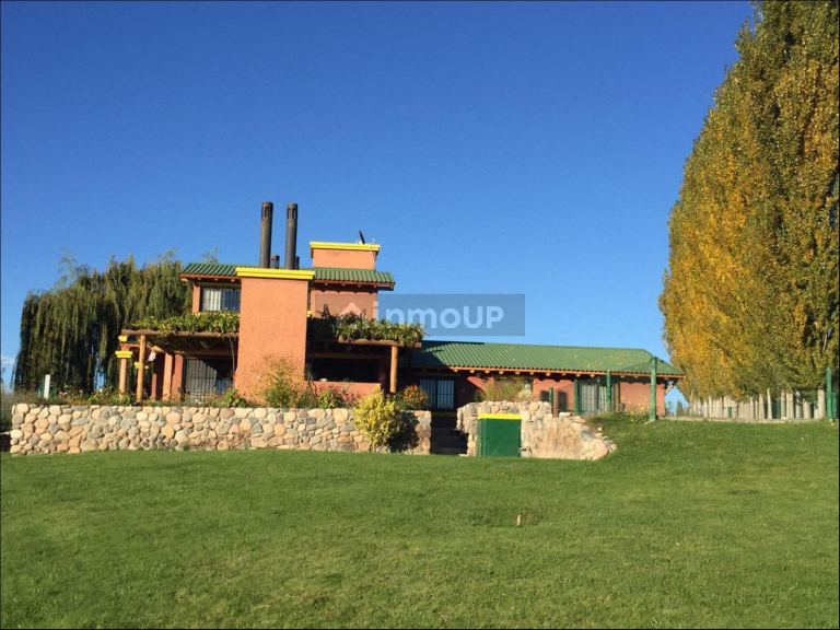 Finca en Venta en Tupungato, Mendoza