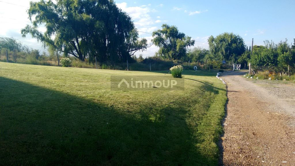 Finca en Venta en Tupungato, Mendoza