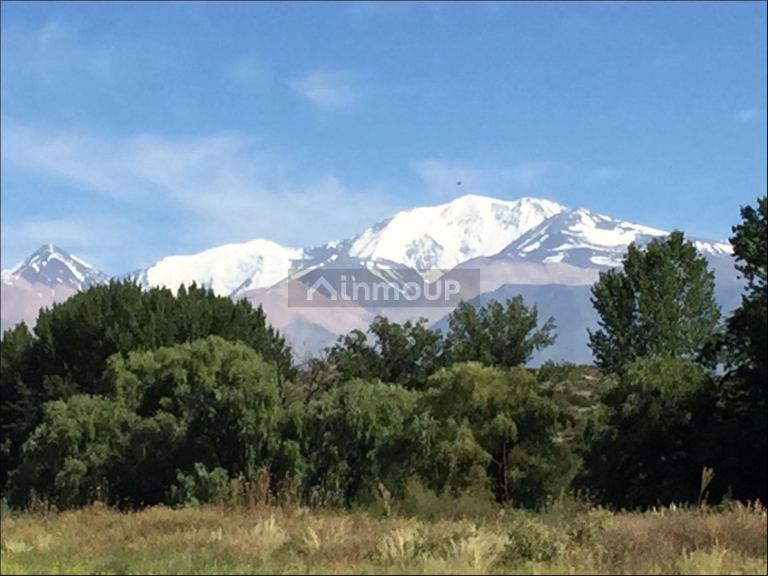 Finca en Venta en Tupungato, Mendoza