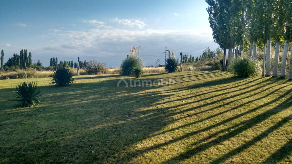 Finca en Venta en Tupungato, Mendoza
