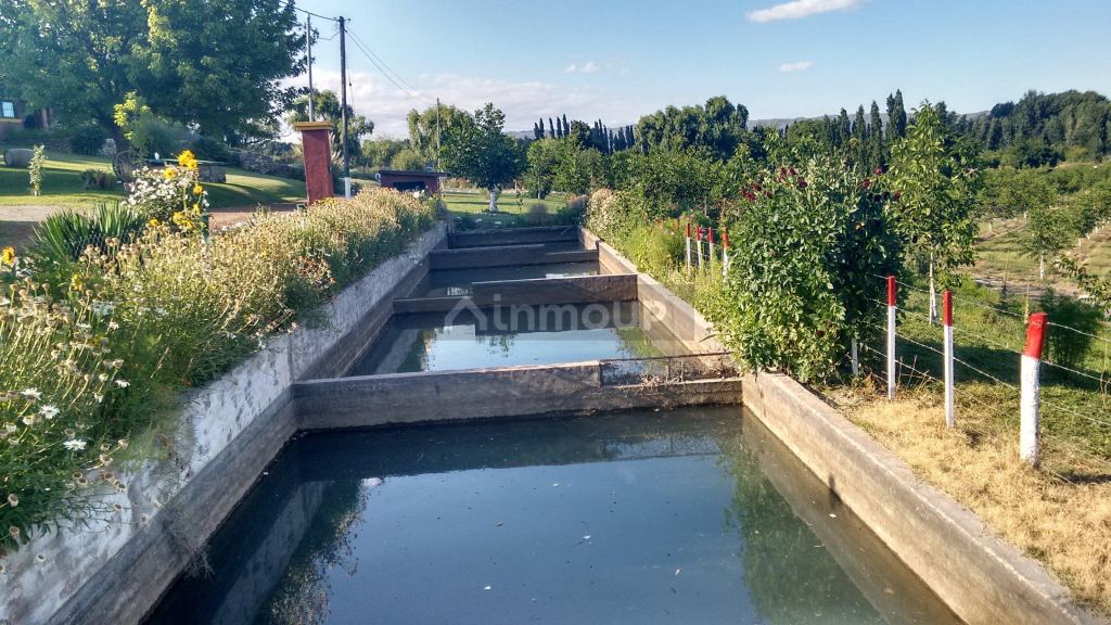 Finca en Venta en Tupungato, Mendoza