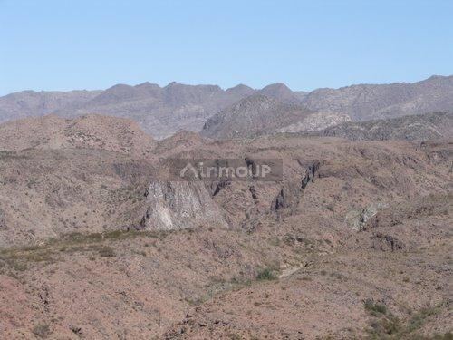 Campo en Venta en San Rafael, Mendoza