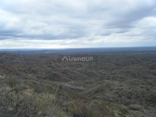 Campo en Venta en San Rafael, Mendoza