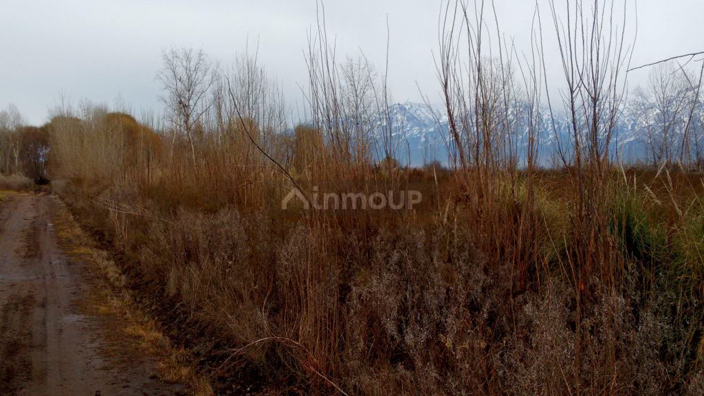 Terreno en Venta en Tunuyan, Mendoza