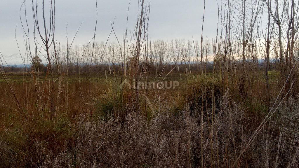 Terreno en Venta en Tunuyan, Mendoza