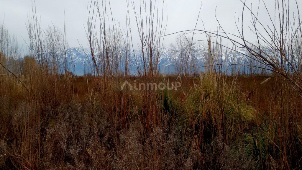 Terreno en Venta en Tunuyan, Mendoza