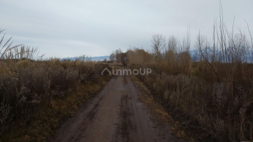 Terreno en Venta en Tunuyan, Mendoza