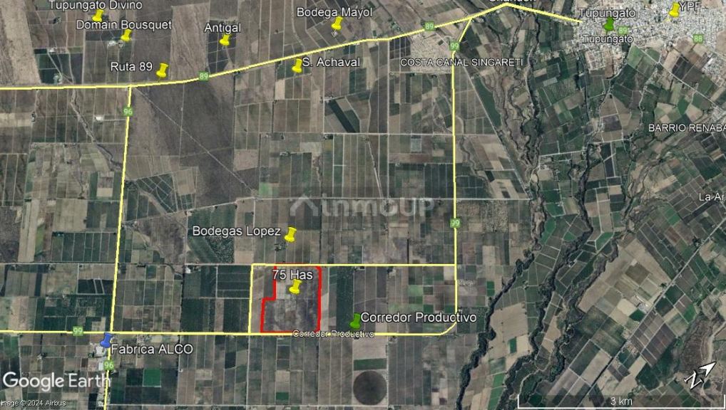 Finca en Venta en Tupungato, Mendoza