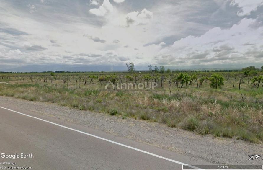 Finca en Venta en Tupungato, Mendoza