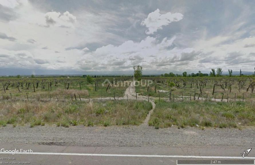 Finca en Venta en Tupungato, Mendoza