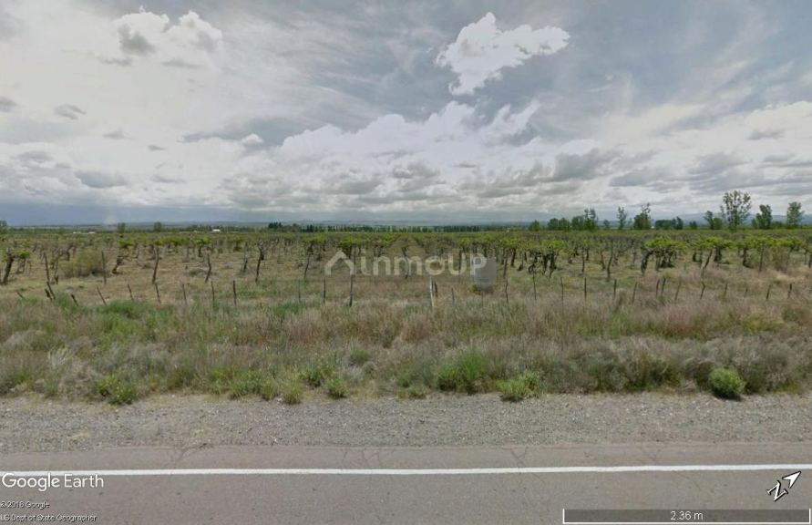 Finca en Venta en Tupungato, Mendoza