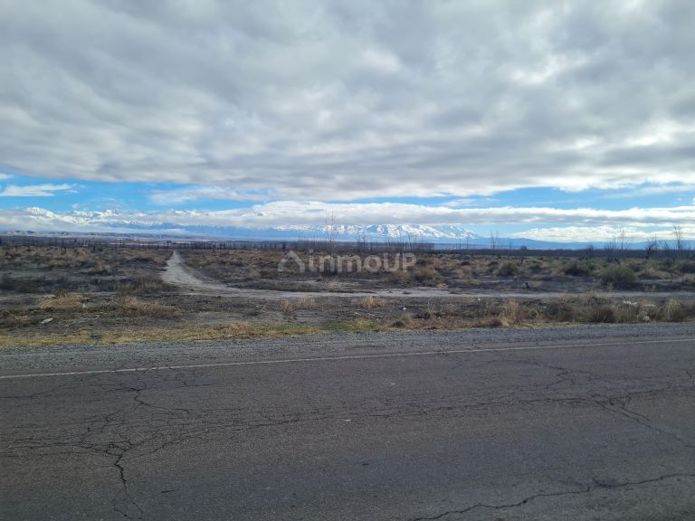 Finca en Venta en Tupungato, Mendoza