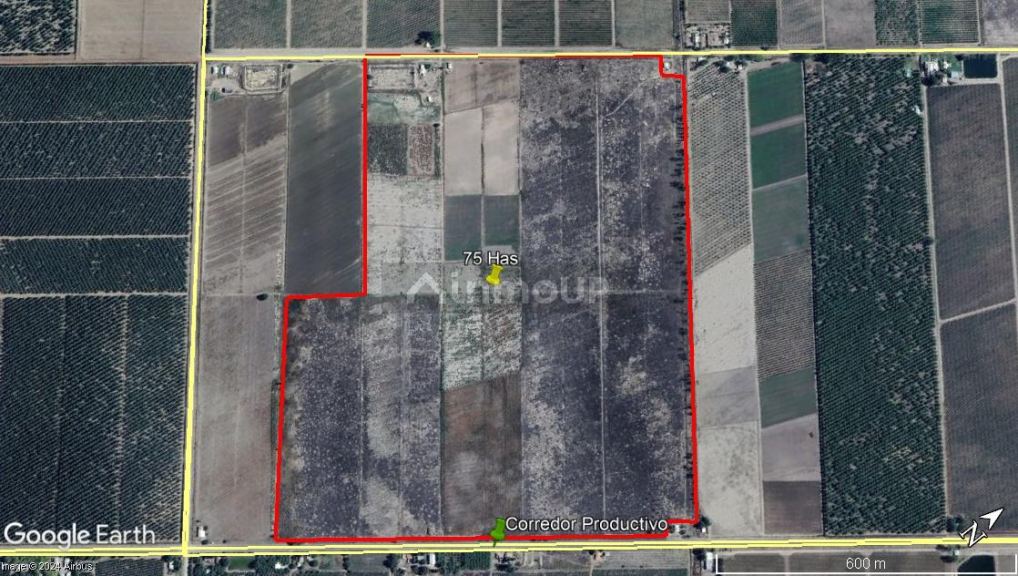 Finca en Venta en Tupungato, Mendoza