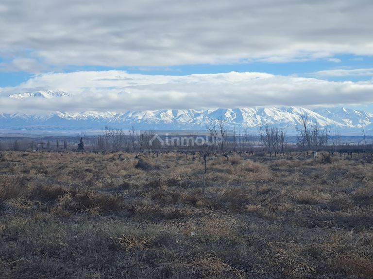 Finca en Venta en Tupungato, Mendoza