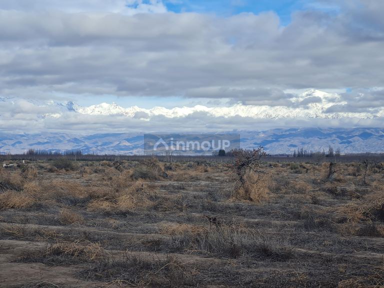 Finca en Venta en Tupungato, Mendoza