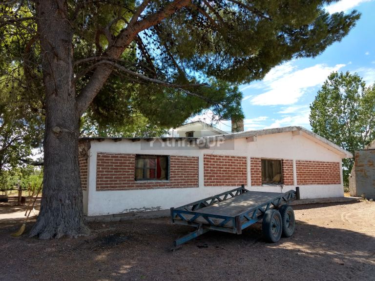 Finca en Venta en Santa Rosa, Mendoza