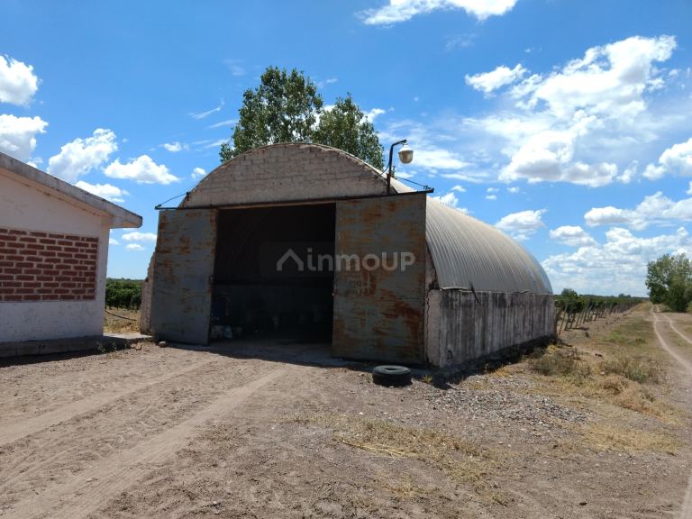 Finca en Venta en Santa Rosa, Mendoza