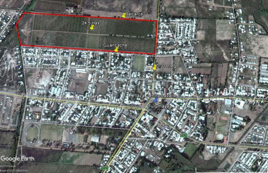 Finca en Venta en Lavalle, Mendoza