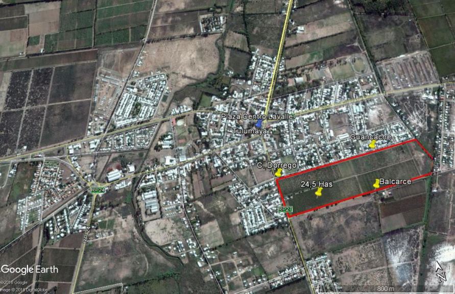 Finca en Venta en Lavalle, Mendoza