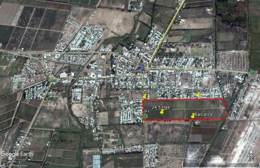 Finca en Venta en Lavalle, Mendoza
