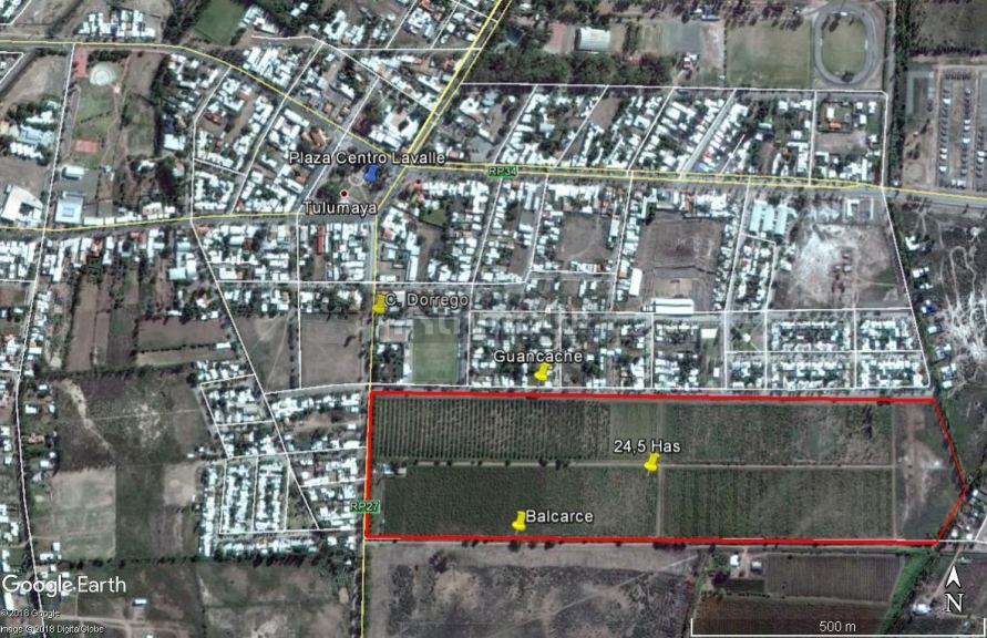 Finca en Venta en Lavalle, Mendoza