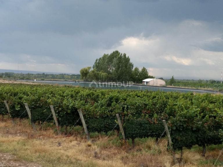 Finca en Venta en Tunuyan, Mendoza